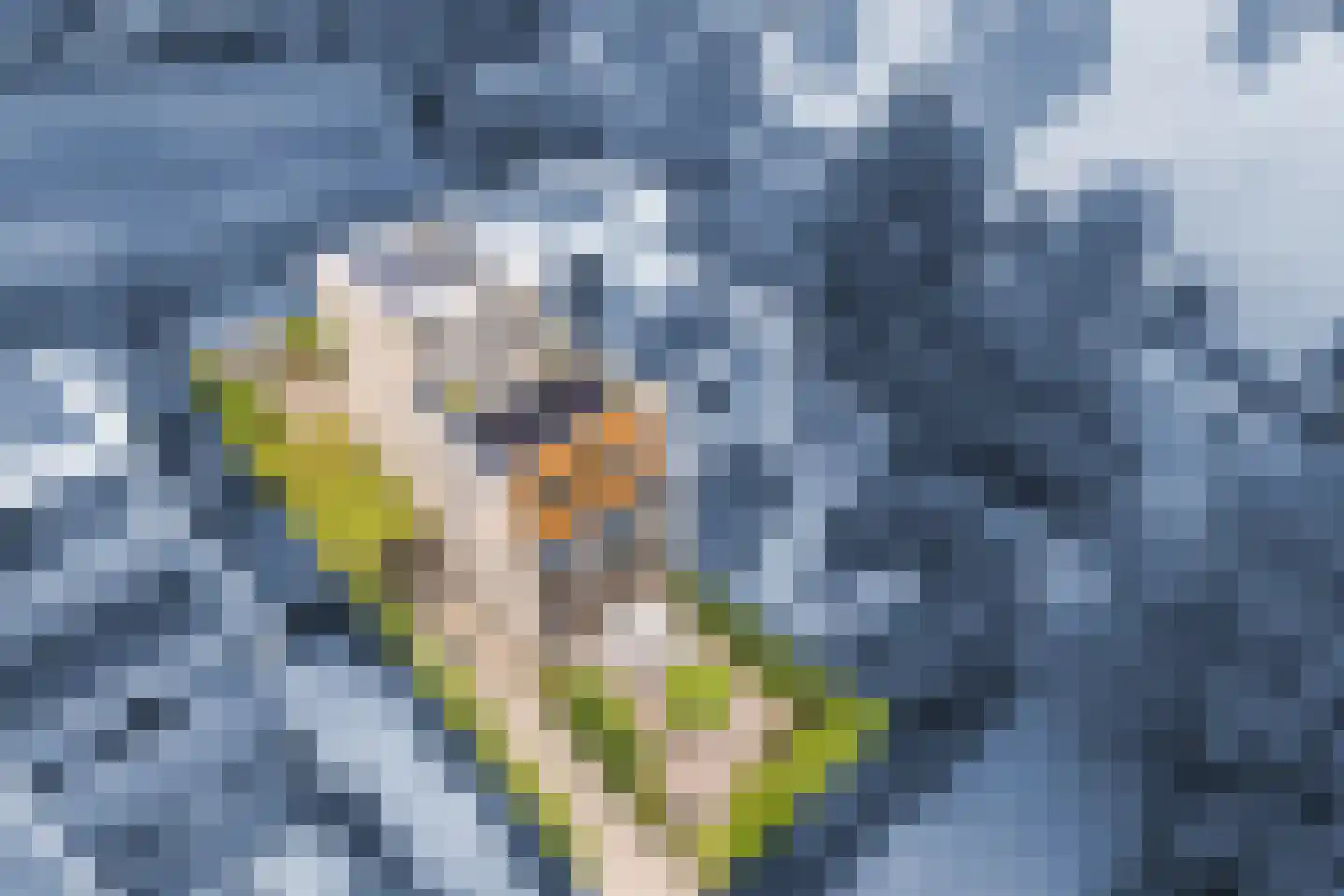 Kleine Hof 48 Vleuten thumbnail 71