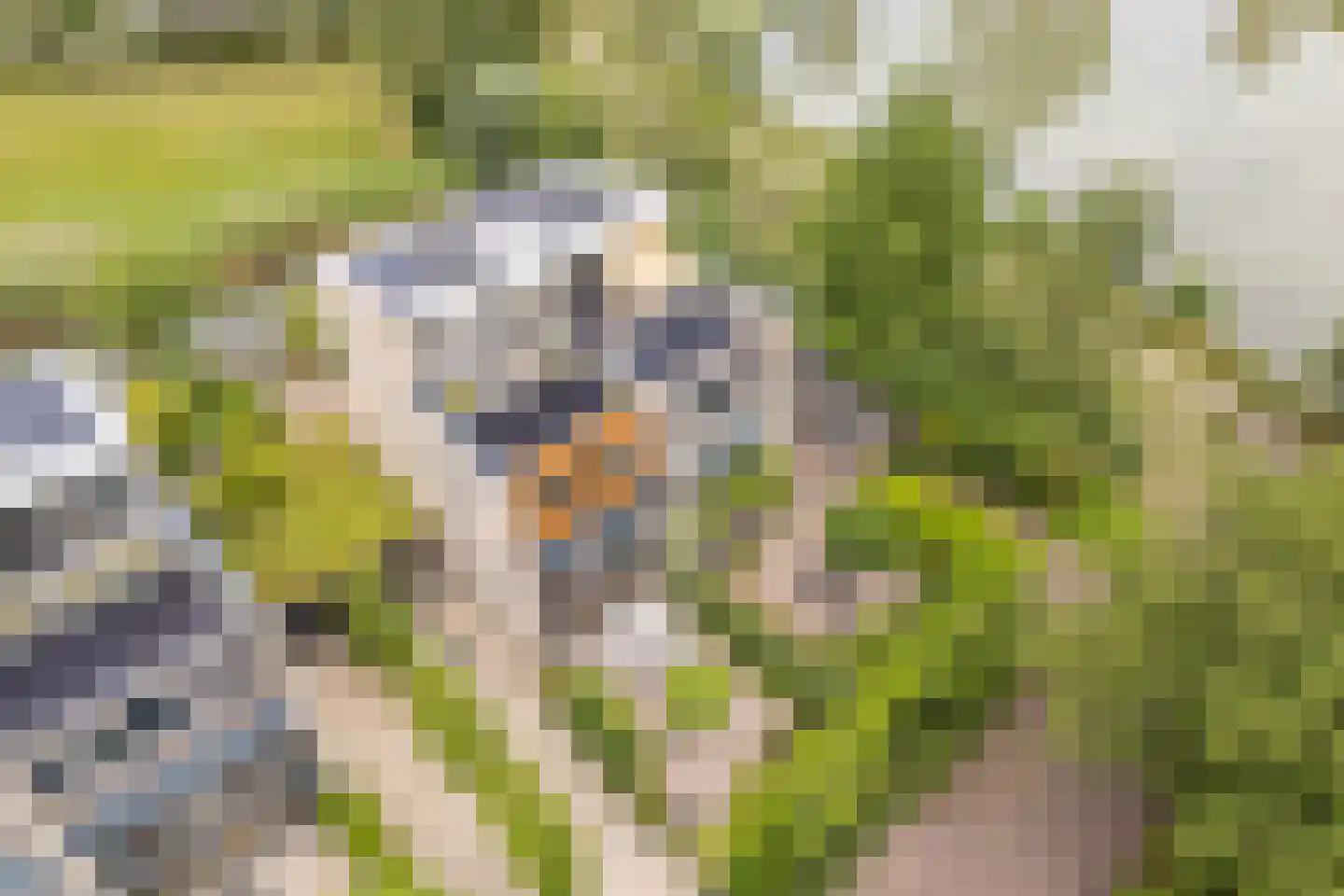 Kleine Hof 48 Vleuten thumbnail 73