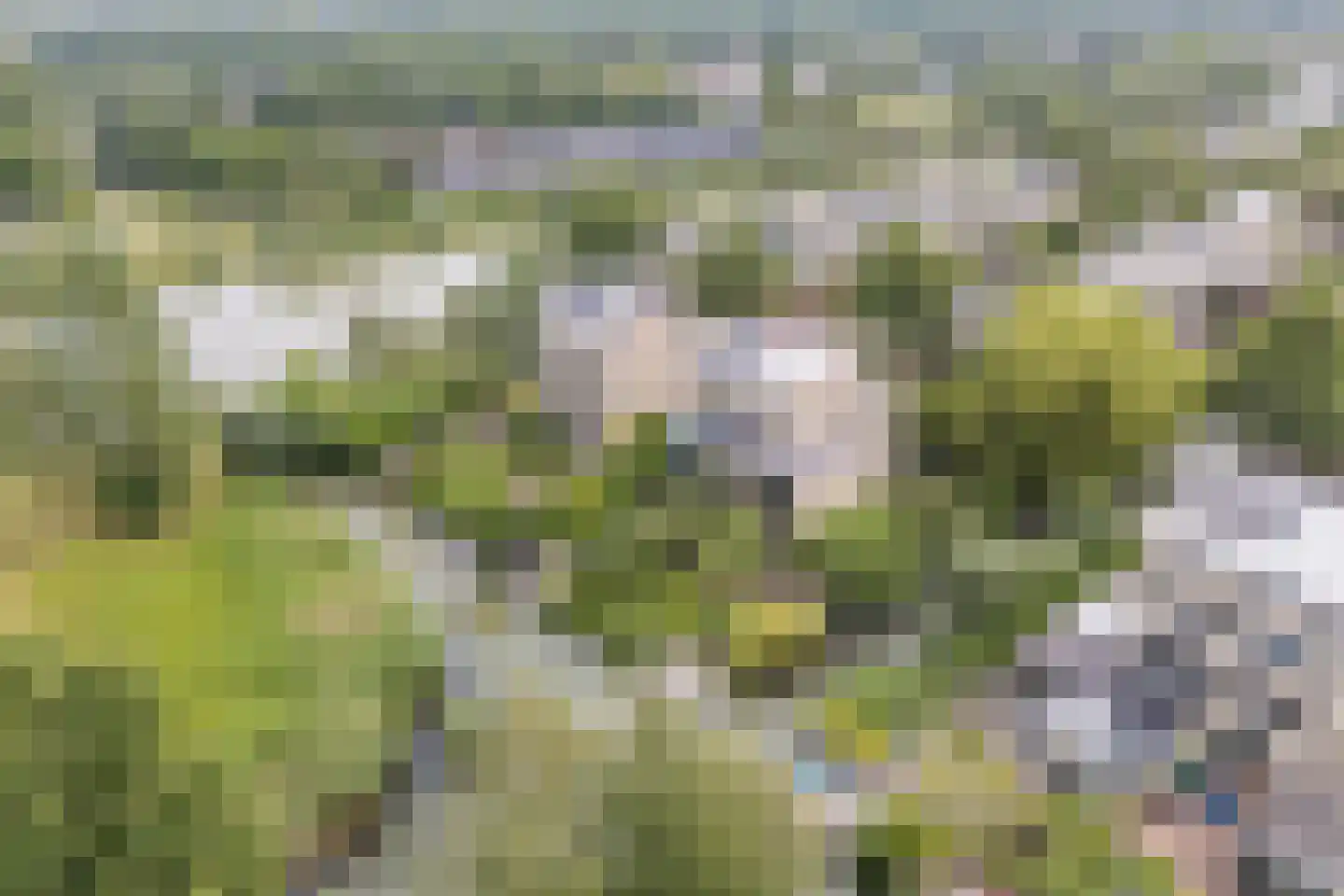 Kleine Hof 48 Vleuten thumbnail 78