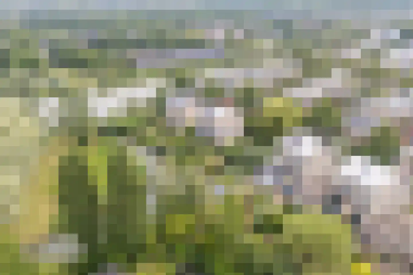 Kleine Hof 48 Vleuten thumbnail 79