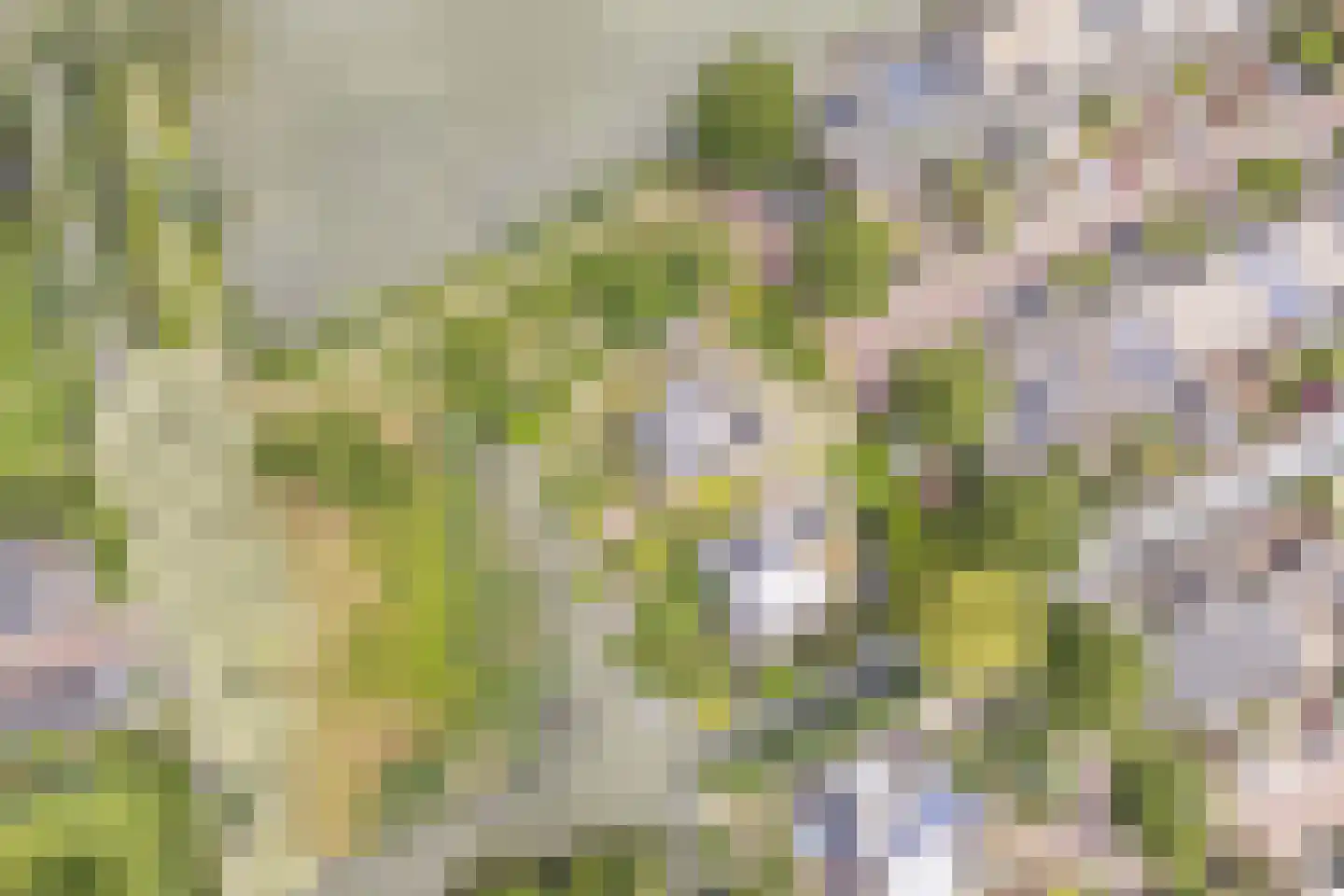 Kleine Hof 48 Vleuten thumbnail 81