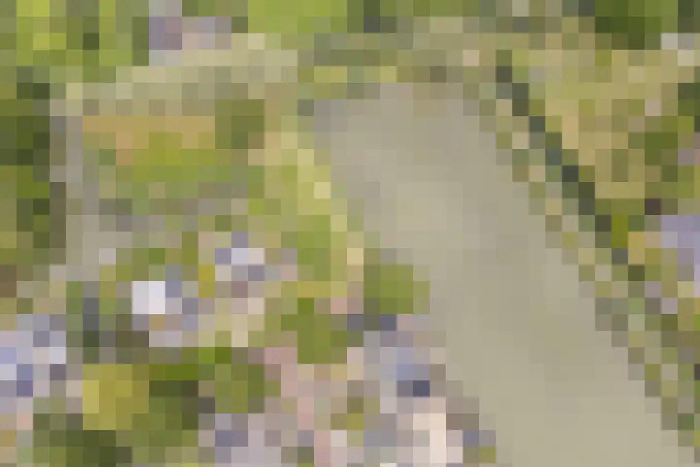 Kleine Hof 48 Vleuten thumbnail 82