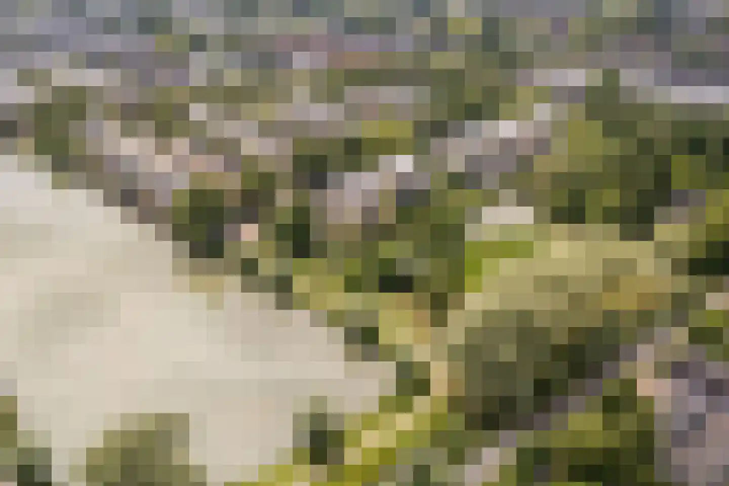 Kleine Hof 48 Vleuten thumbnail 83