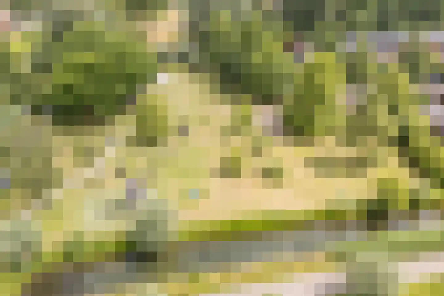 Kleine Hof 48 Vleuten thumbnail 84