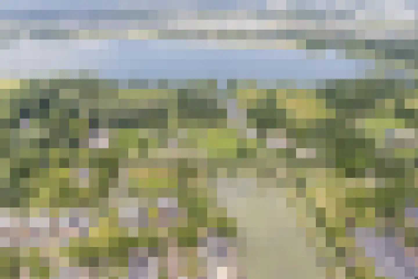 Kleine Hof 48 Vleuten thumbnail 85