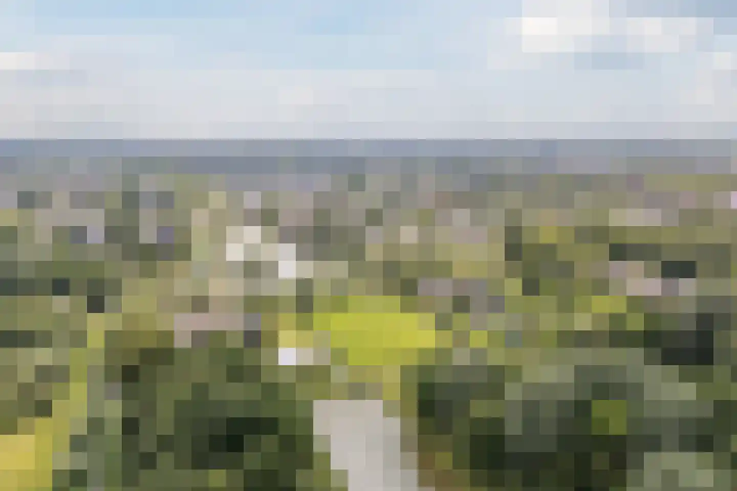Kleine Hof 48 Vleuten thumbnail 86
