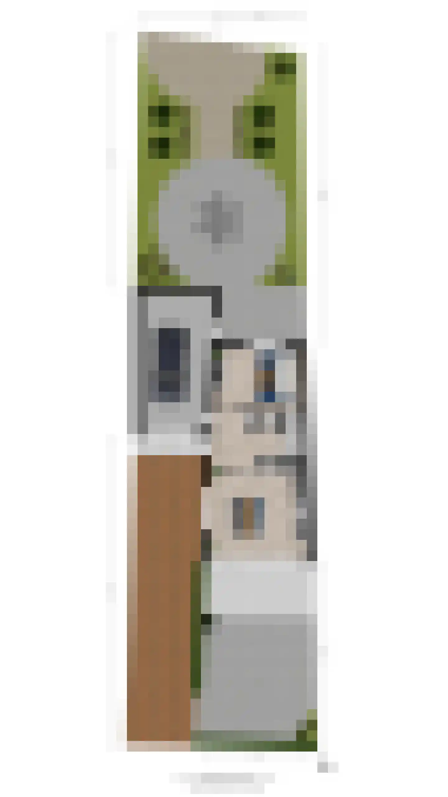 Kleine Hof 48 Vleuten thumbnail 91