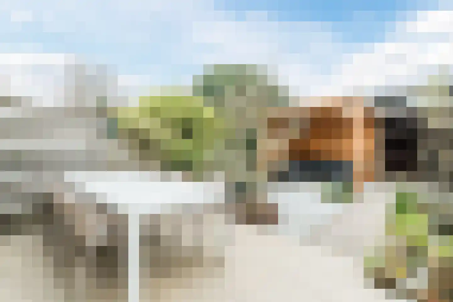 Kleine Hof 8 Vleuten thumbnail 11