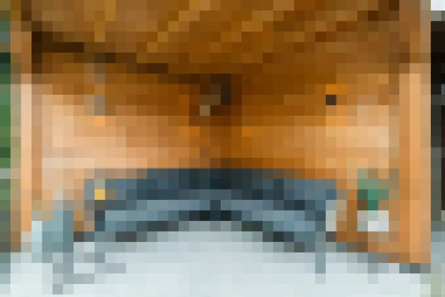 Kleine Hof 8 Vleuten thumbnail 12