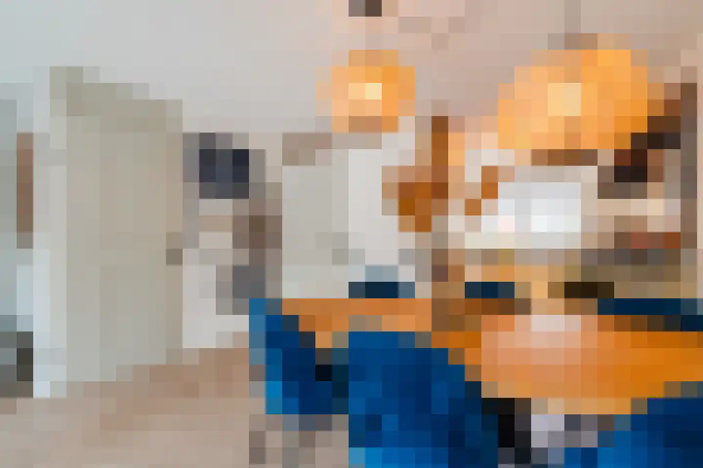 Kleine Hof 8 Vleuten thumbnail 18
