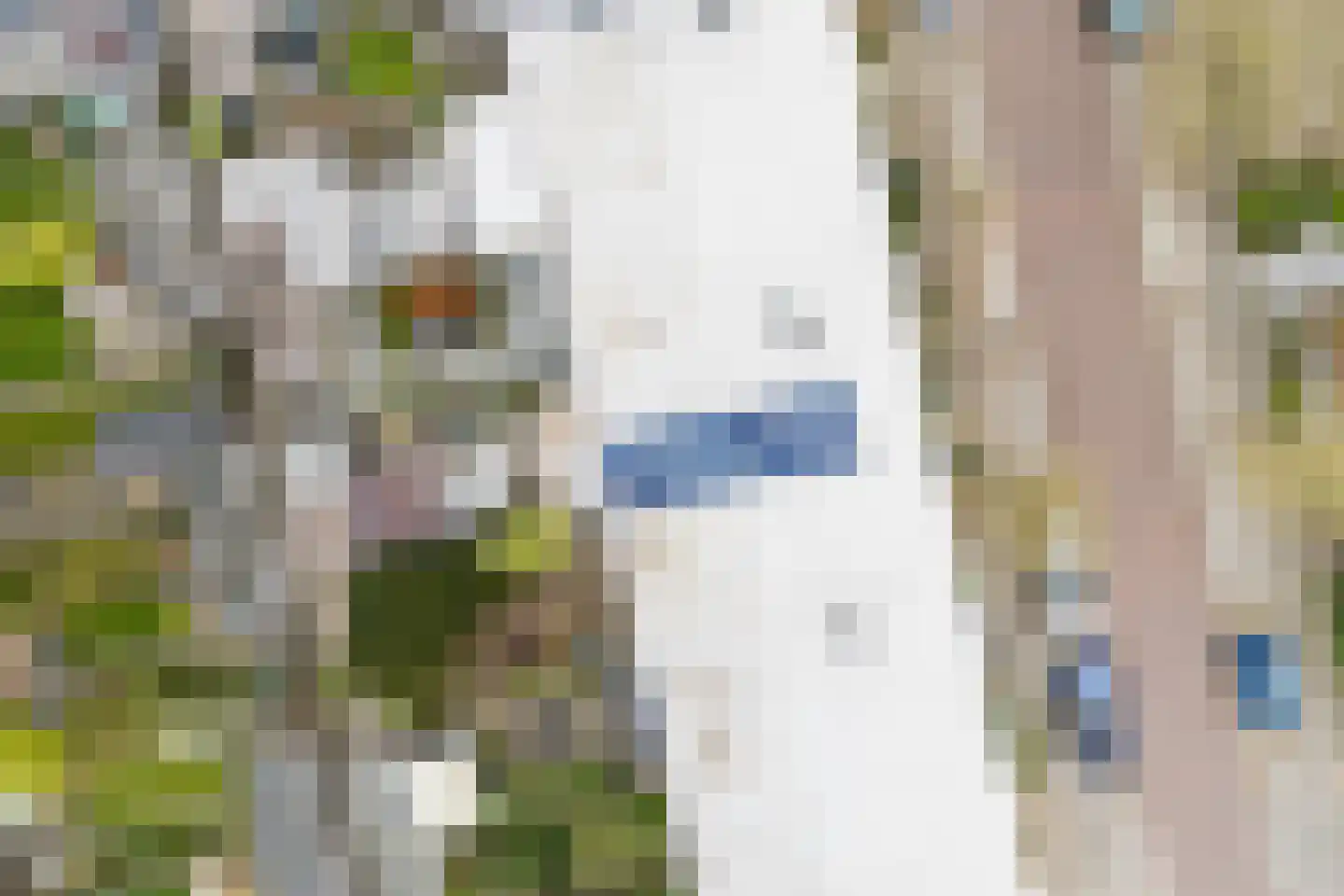 Kleine Hof 8 Vleuten thumbnail 44