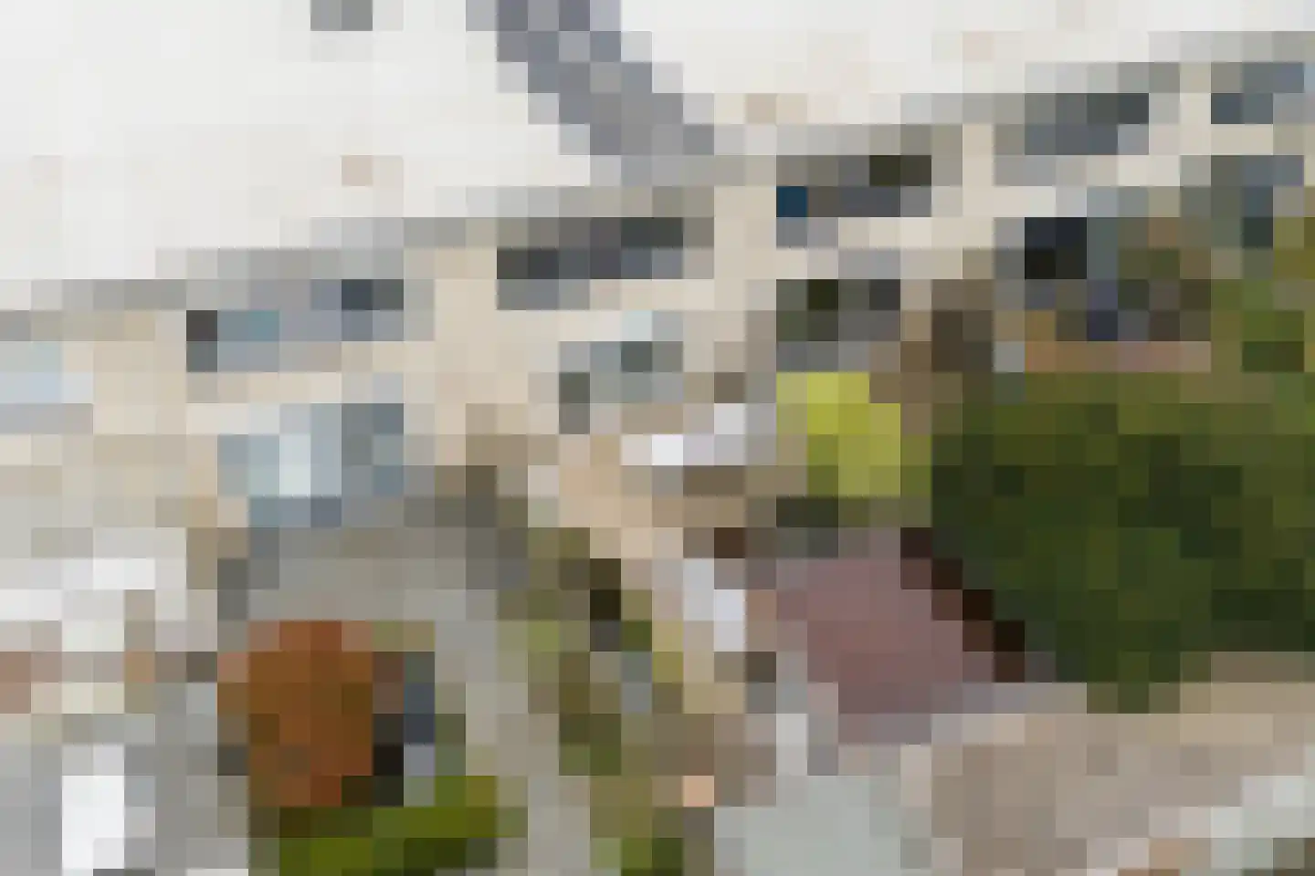 Kleine Hof 8 Vleuten thumbnail 45
