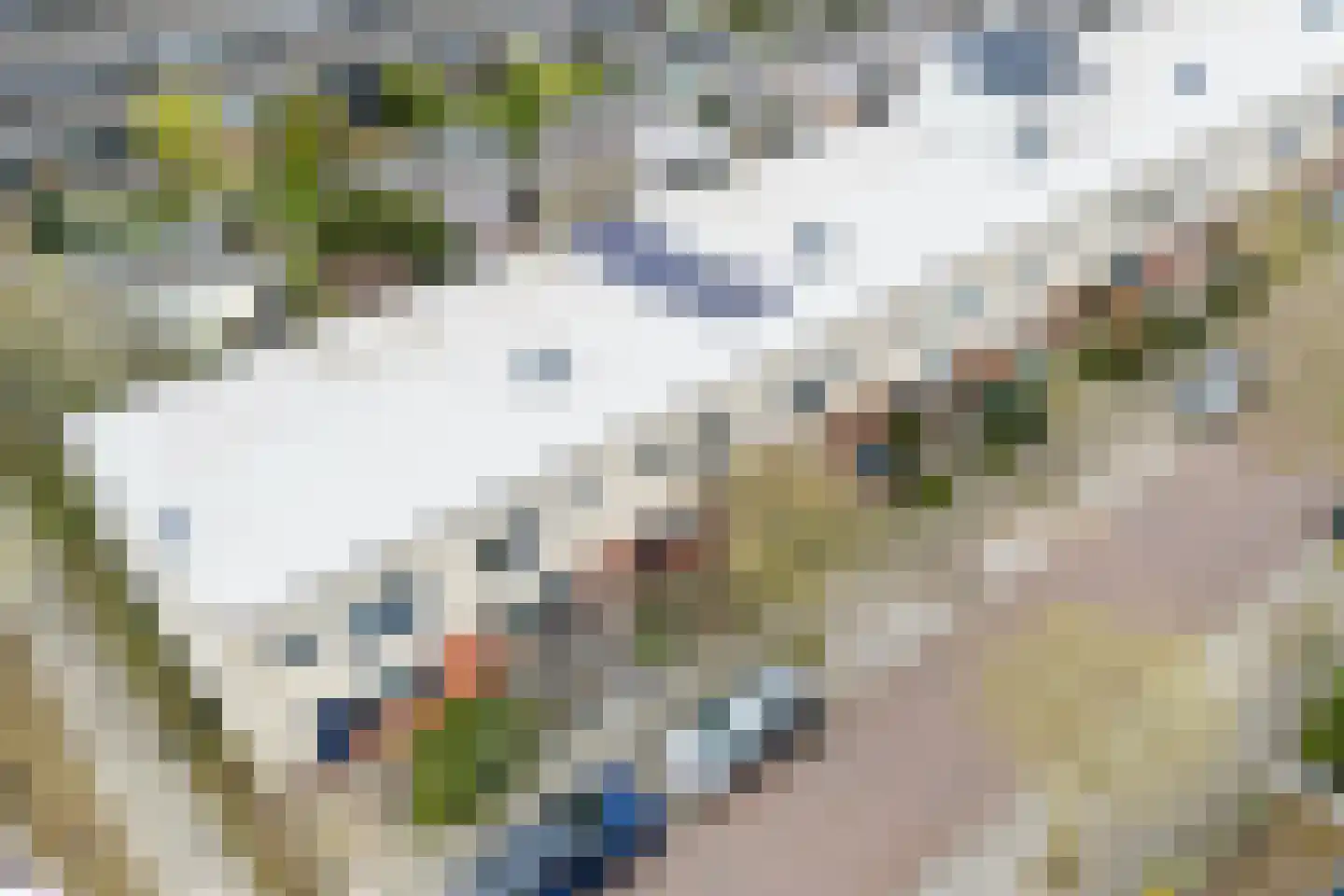 Kleine Hof 8 Vleuten thumbnail 46
