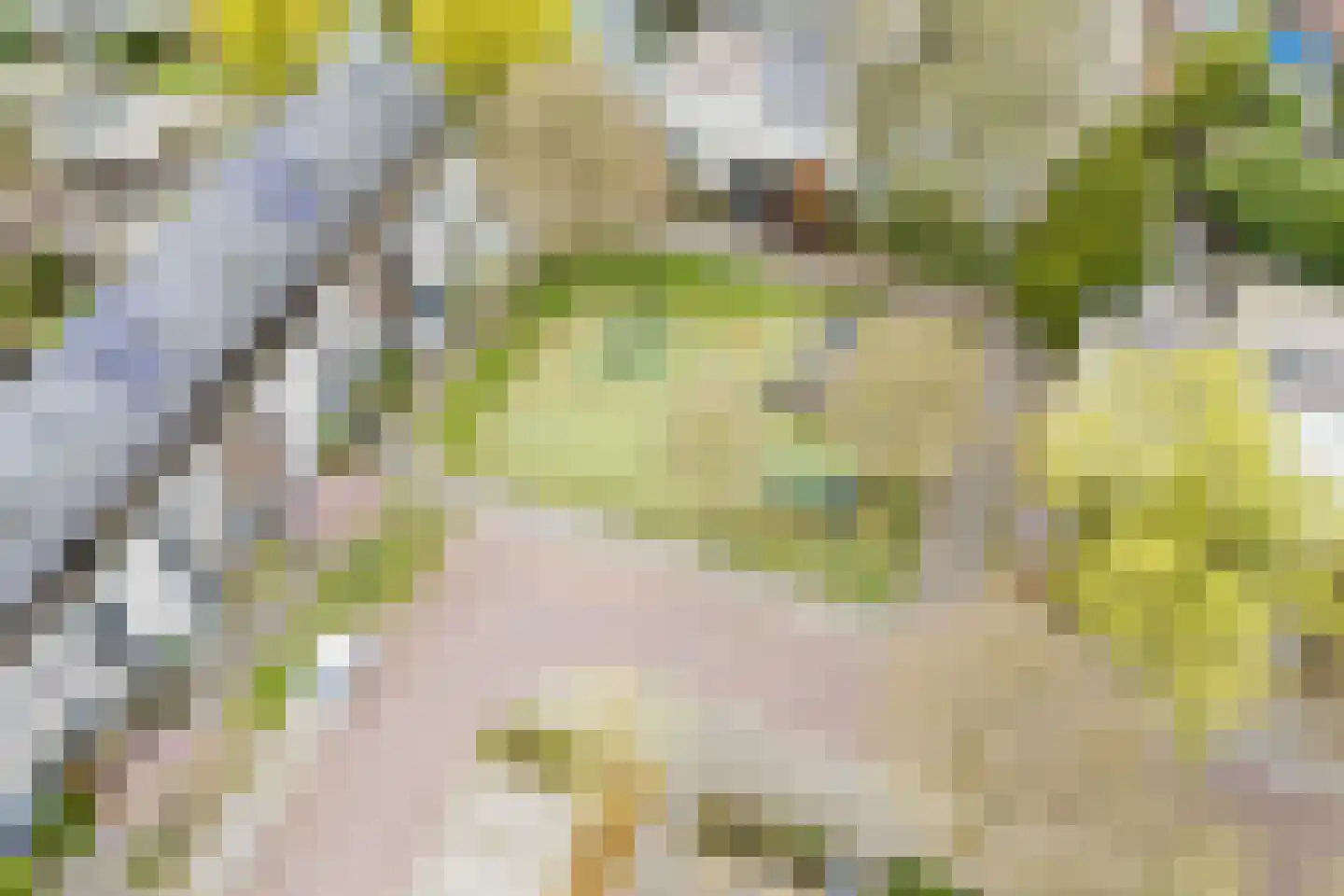 Kleine Hof 8 Vleuten thumbnail 47