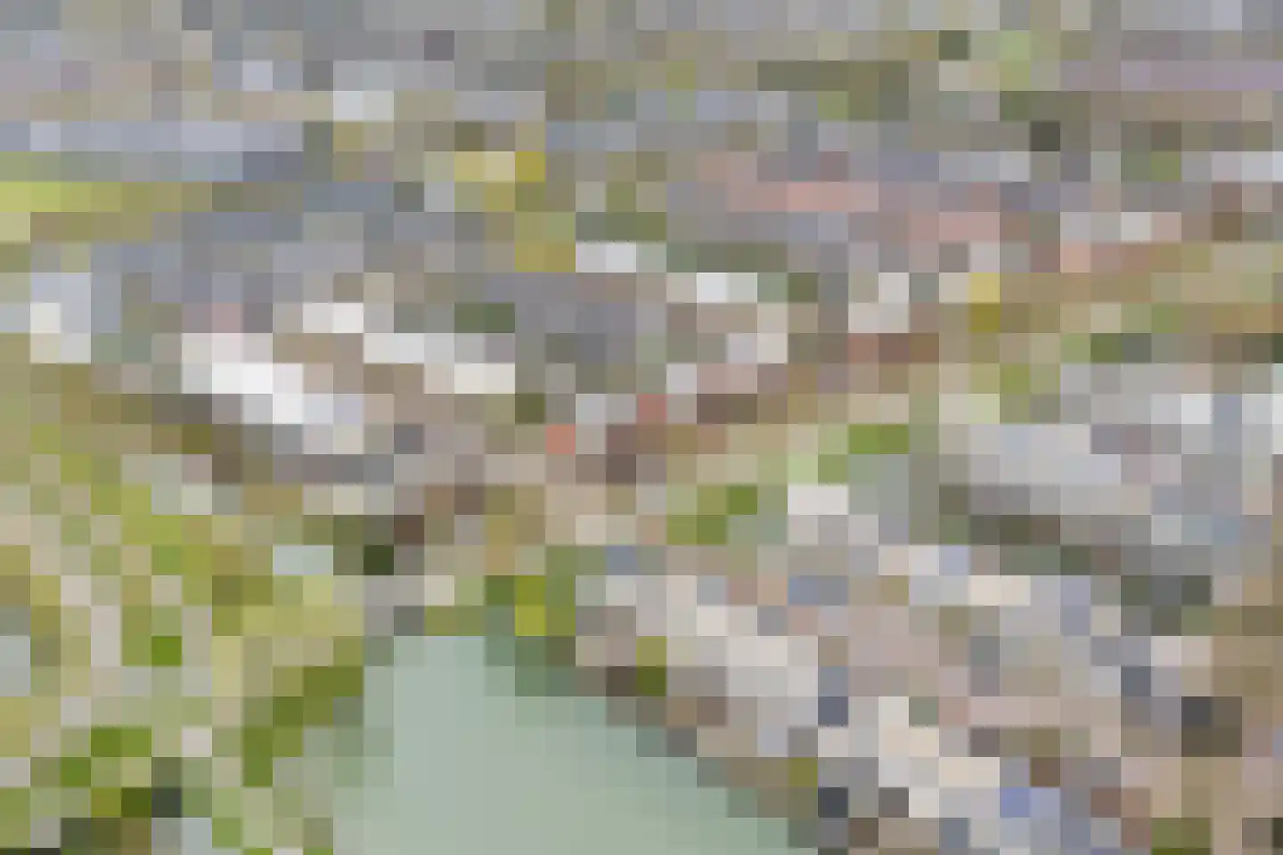 Kleine Hof 8 Vleuten thumbnail 49