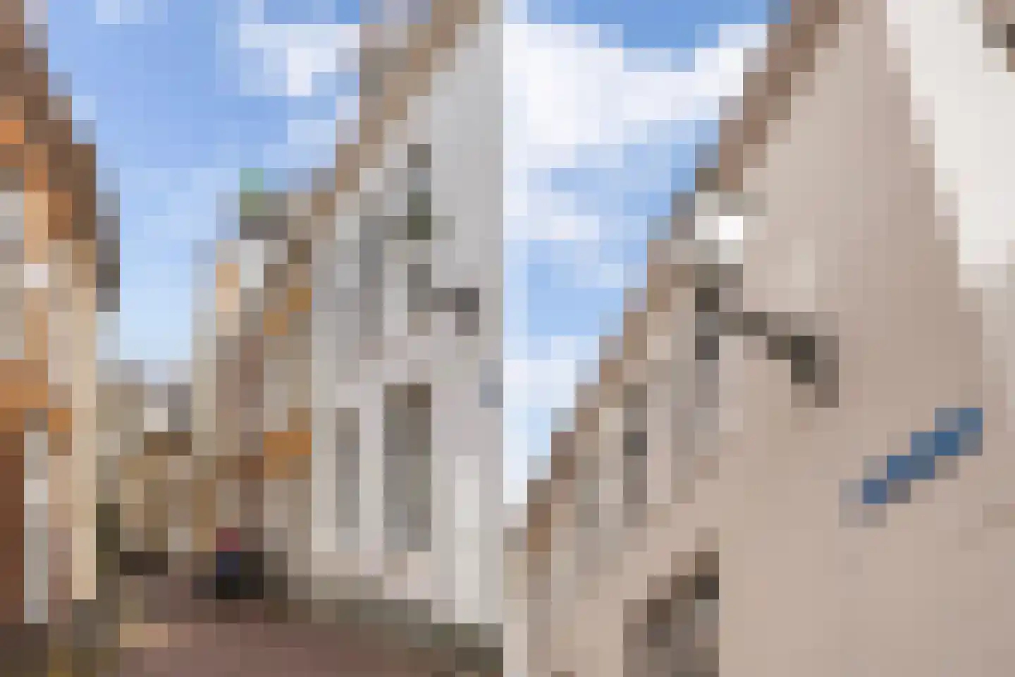 Kleine Hoogstraat 26 Leeuwarden thumbnail 6