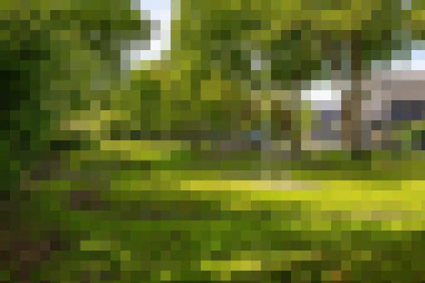 Kleine Hoorn 18 Marum thumbnail 51