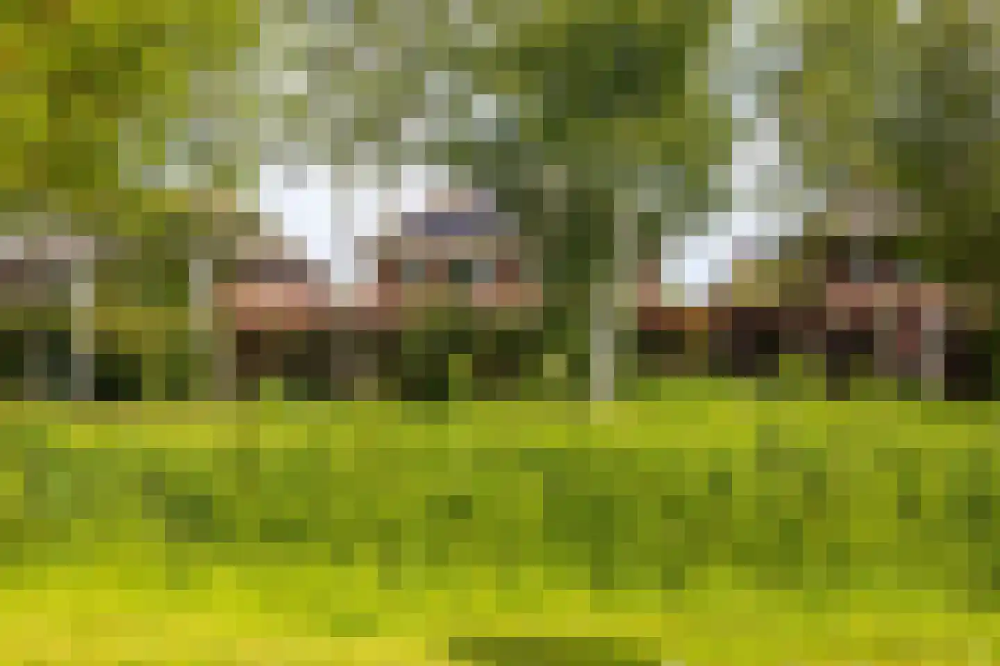 Kleine Hoorn 18 Marum thumbnail 52