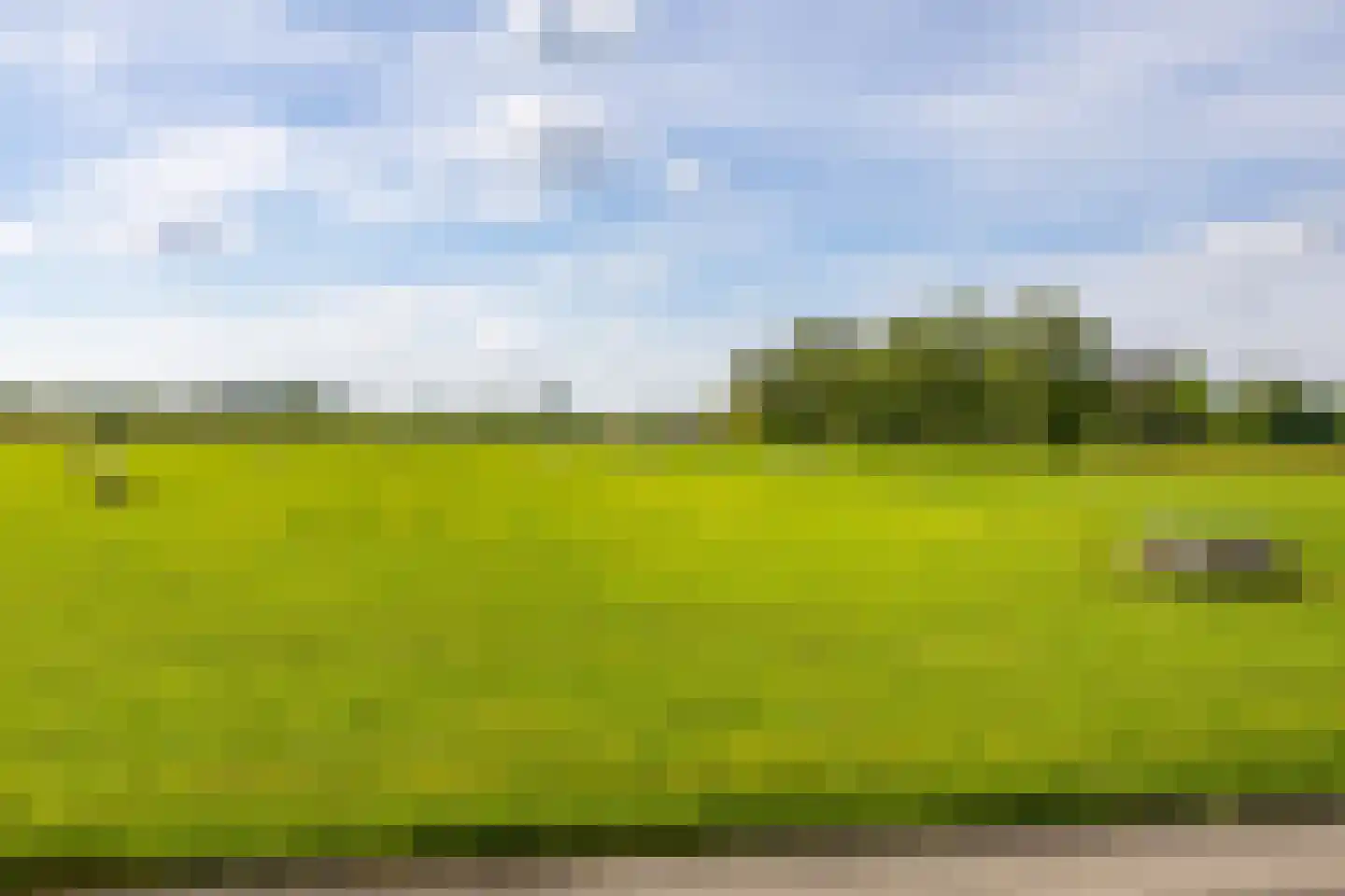 Kleine Hoorn 18 Marum thumbnail 53