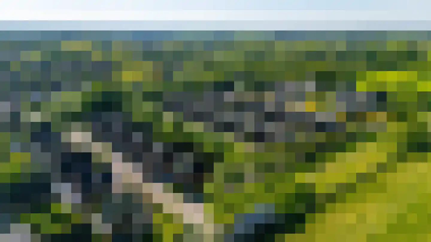 Kleine Hoorn 18 Marum thumbnail 58