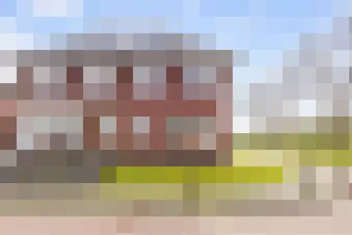Kleine Hoorn 22 Marum thumbnail 10