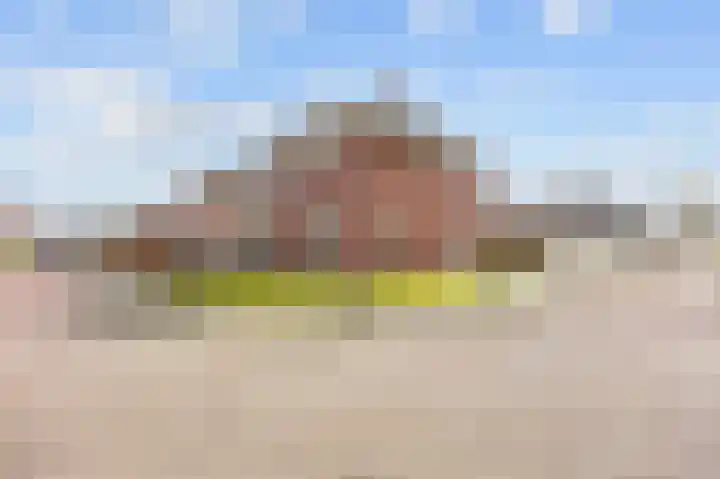 Kleine Hoorn 22 Marum thumbnail 12