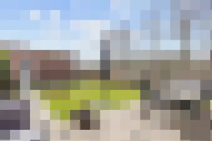 Kleine Hoorn 22 Marum thumbnail 48