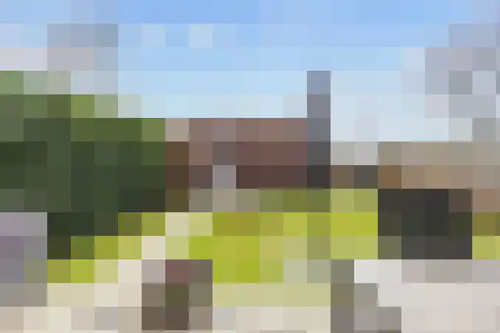 Kleine Hoorn 22 Marum thumbnail 5