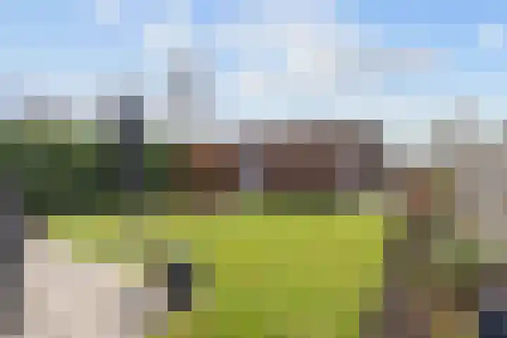 Kleine Hoorn 22 Marum thumbnail 50