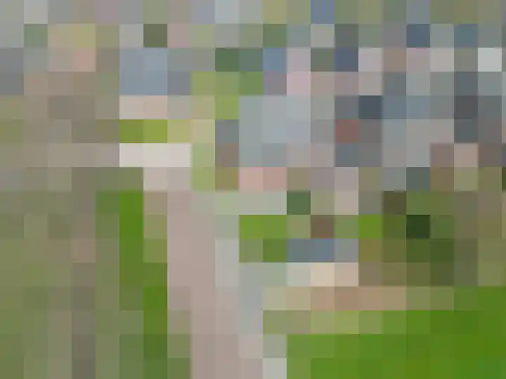 Kleine Hoorn 22 Marum thumbnail 56