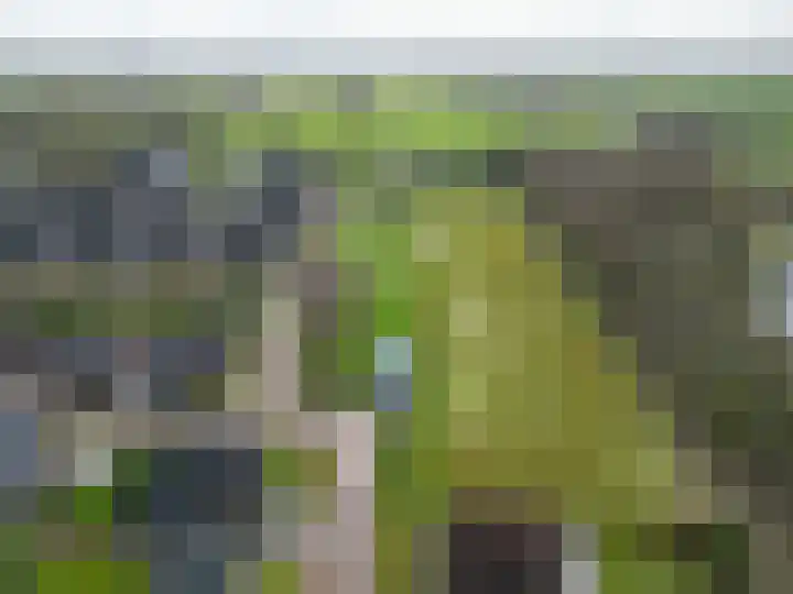 Kleine Hoorn 22 Marum thumbnail 57