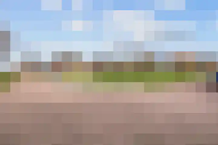 Kleine Hoorn 22 Marum thumbnail 60