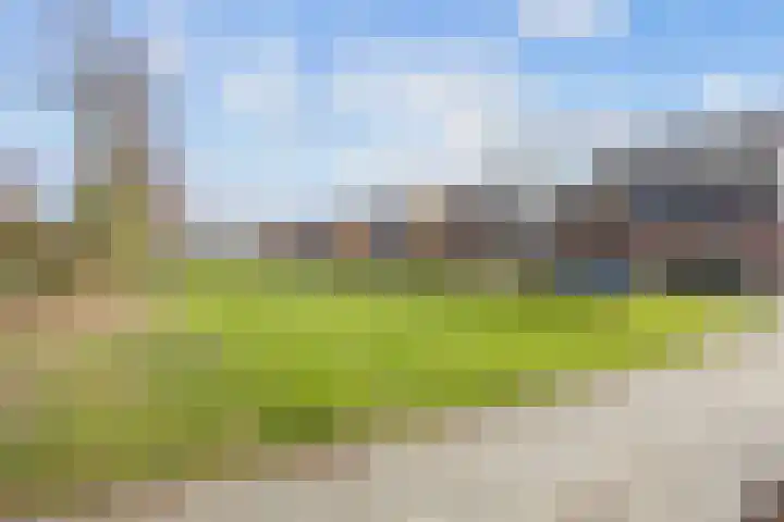 Kleine Hoorn 22 Marum thumbnail 61
