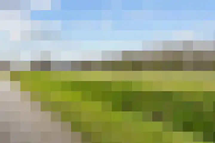 Kleine Hoorn 22 Marum thumbnail 62