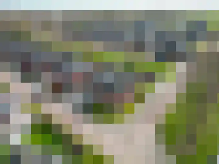 Kleine Hoorn 22 Marum thumbnail 8