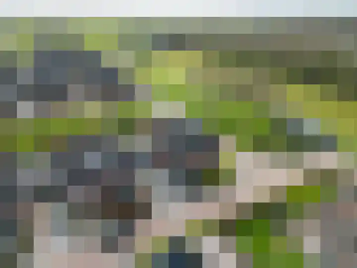 Kleine Hoorn 22 Marum thumbnail 9