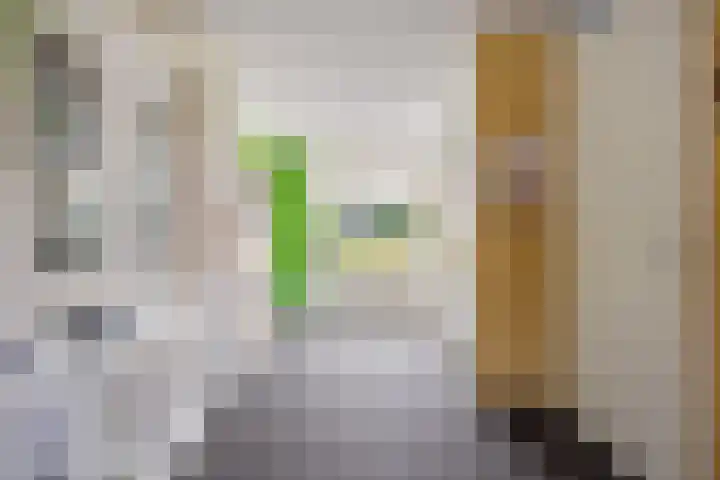 Kleine Hoorn 6 Marum thumbnail 11