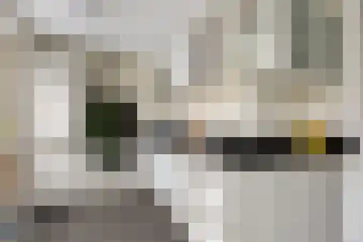 Kleine Hoorn 6 Marum thumbnail 13