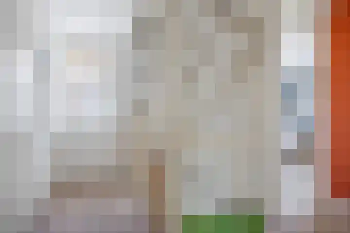 Kleine Hoorn 6 Marum thumbnail 17