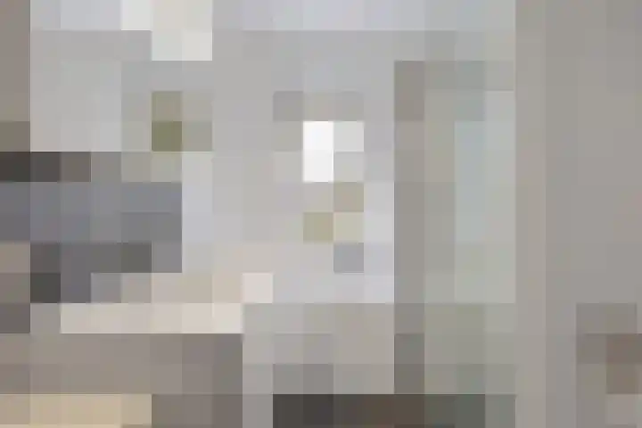 Kleine Hoorn 6 Marum thumbnail 25