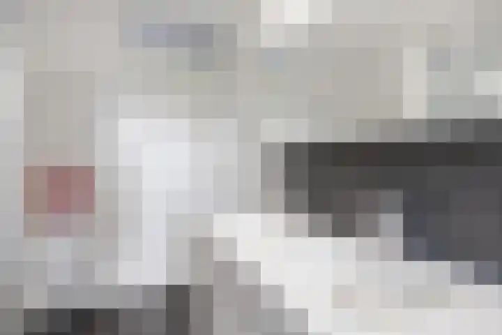 Kleine Hoorn 6 Marum thumbnail 26