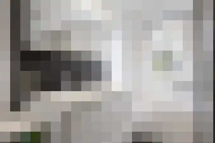 Kleine Hoorn 6 Marum thumbnail 27