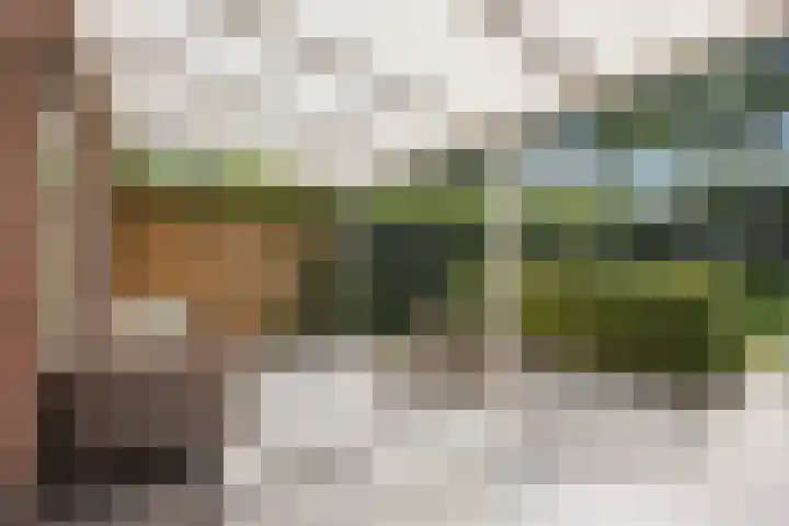 Kleine Hoorn 6 Marum thumbnail 30