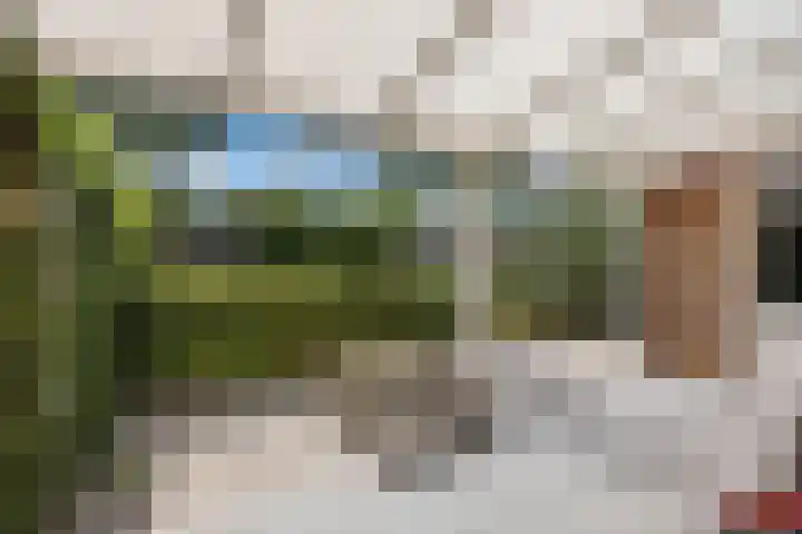 Kleine Hoorn 6 Marum thumbnail 31