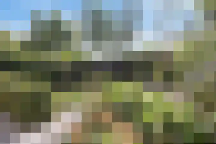 Kleine Hoorn 6 Marum thumbnail 33