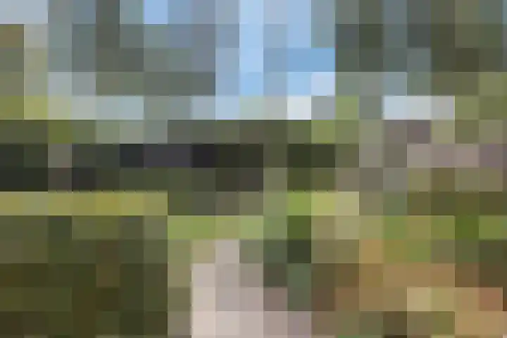 Kleine Hoorn 6 Marum thumbnail 34