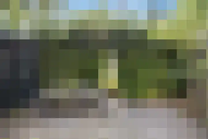 Kleine Hoorn 6 Marum thumbnail 35