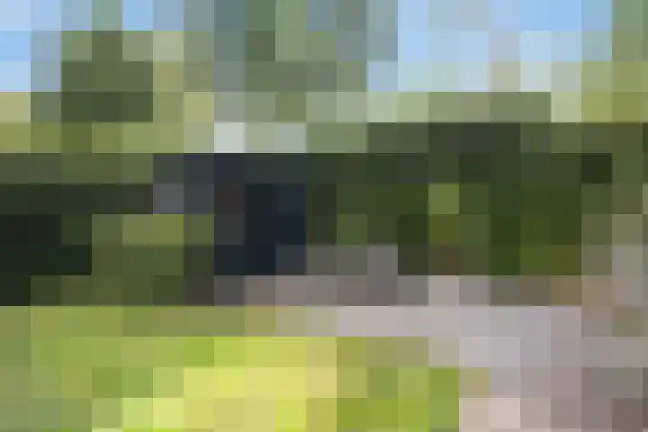 Kleine Hoorn 6 Marum thumbnail 36