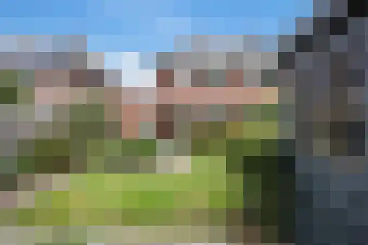 Kleine Hoorn 6 Marum thumbnail 38