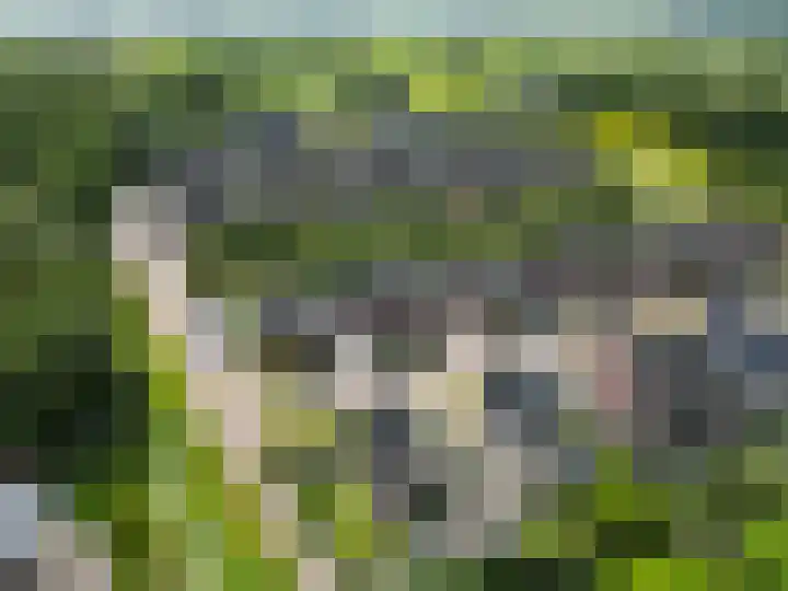 Kleine Hoorn 6 Marum thumbnail 4